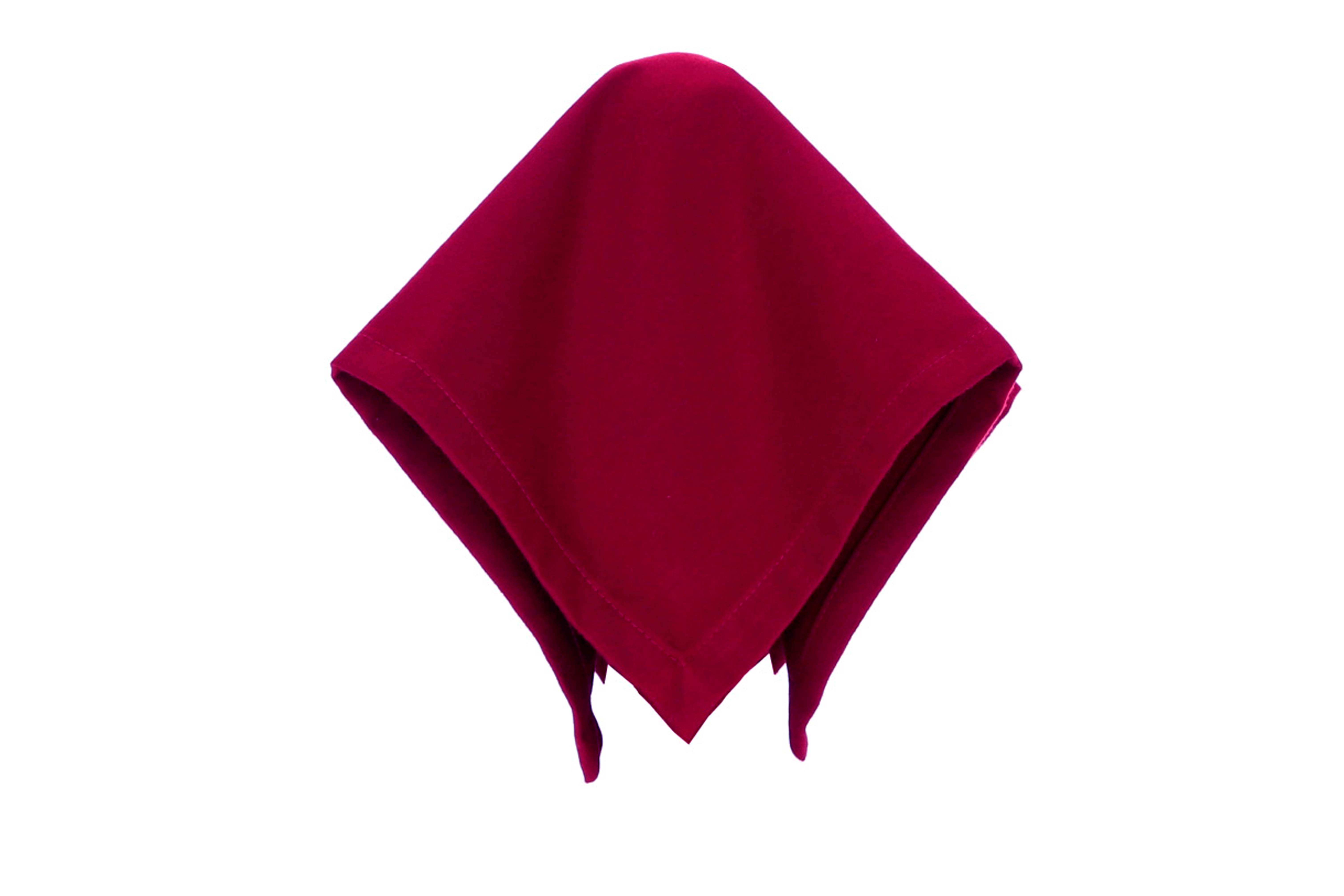 Fabric napkin — professional clothing